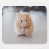 Niedlicher Hamster Mousepad (Vorne)