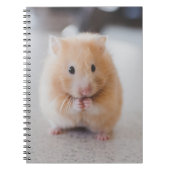 Niedlicher Hamster Notizblock (Vorderseite)