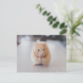 Niedlicher Hamster Postkarte (Stehend Vorderseite)