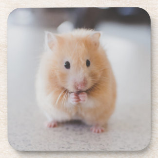 Niedlicher Hamster Untersetzer