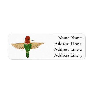 Niedlicher handgezeichnet Anna-Hummingbird