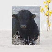Niedlicher Happy Vatertag Ranch Farm Bull Karte (Gelbe Blume)