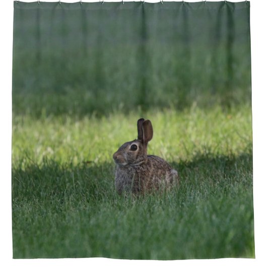 Niedlicher Hase Duschvorhang (Vorderseite)