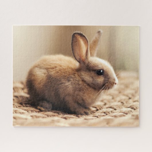Niedlicher Hase, Jigsaw Puzzle (Horizontal)