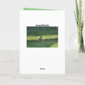 Niedlicher Hase Karte (Rückseite)