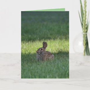 Niedlicher Hase Karte