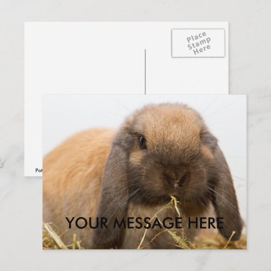 Niedlicher Hasenhahn Postkarte (Vorne/Hinten)