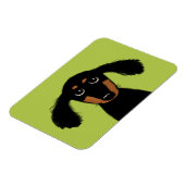 Niedlicher Hasenjunge Dackel Magnet (Linke Seite)