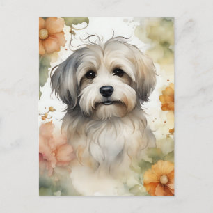 Niedlicher Havanese Hund in Wasserfarbe Postkarte