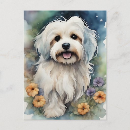 Niedlicher Havanese Hund in Wasserfarbe Postkarte (Vorderseite)