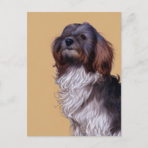 Niedlicher Havanese Welpen-Hund-Postkarte Postkarte