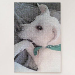 Niedlicher hellbrauner Hund mit grünem Scarf Puzzle