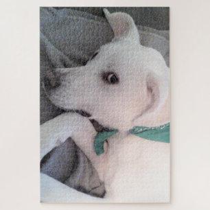 Niedlicher hellbrauner Hund mit grünem Scarf Puzzle