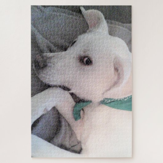 Niedlicher hellbrauner Hund mit grünem Scarf Puzzle (Vertikal)