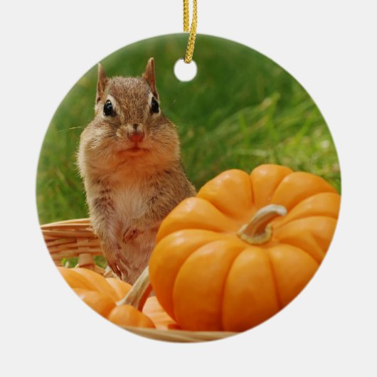 Niedlicher HerbstChipmunk Keramikornament (Vorne)