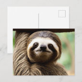 Niedlicher Hintergrund Feiertagspostkarte (Vorne/Hinten)