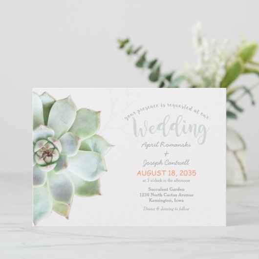 Niedlicher Hinterhof Sukkulente Kakteen Hochzeit E Einladung (Stehend Vorderseite)