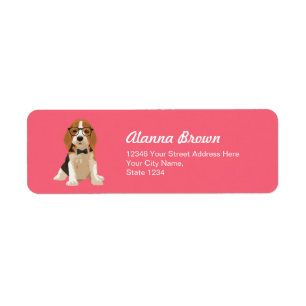 Niedlicher Hipster-Beagle-Welpen-Hund für