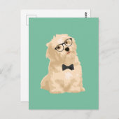Niedlicher Hipster Reddish Havanese Welpe für Hund Postkarte (Vorne/Hinten)
