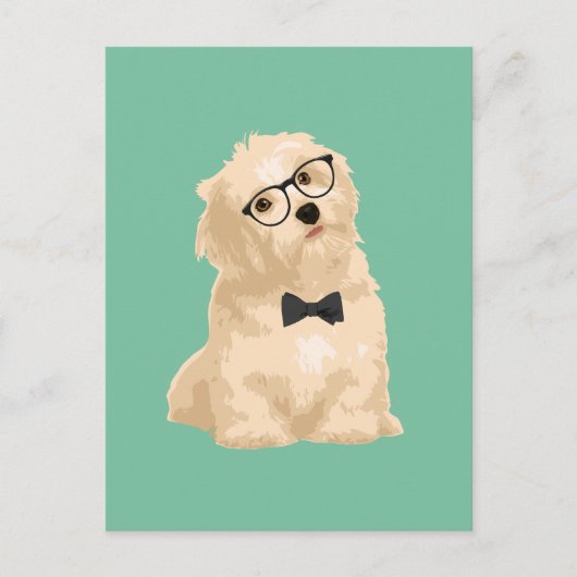 Niedlicher Hipster Reddish Havanese Welpe für Hund Postkarte (Vorderseite)