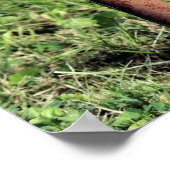 Niedlicher Hirschkopf Poster (Ecke)