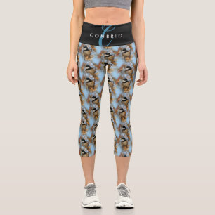 Niedlicher hoffnungsvoller Schwarzkicherling-Songb Capri Leggings