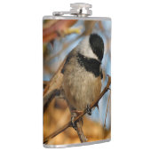 Niedlicher hoffnungsvoller Schwarzkicherling-Songb Flachmann (Rechts)