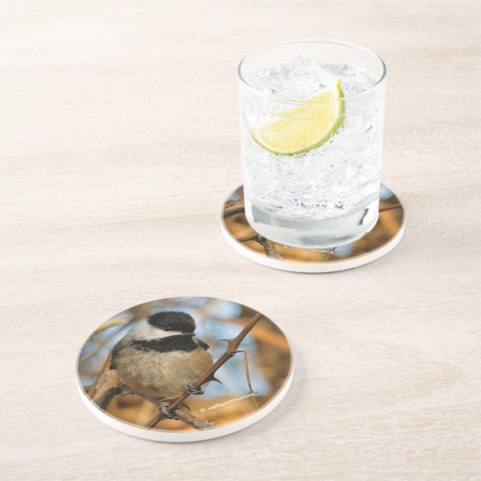 Niedlicher hoffnungsvoller Schwarzkicherling-Songb Getränkeuntersetzer (Seite)
