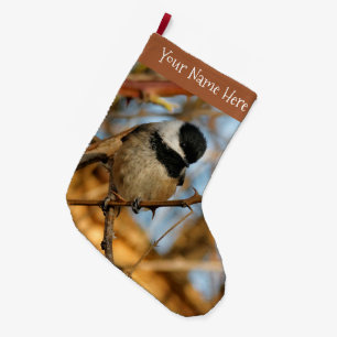 Niedlicher hoffnungsvoller Schwarzkicherling-Songb Großer Weihnachtsstrumpf