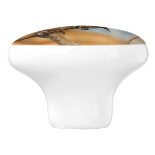 Niedlicher hoffnungsvoller Schwarzkicherling-Songb Keramikknauf (Seitenansicht)