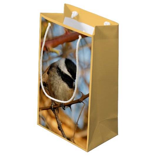 Niedlicher hoffnungsvoller Schwarzkicherling-Songb Kleine Geschenktüte (Rückseite Schrägansicht)