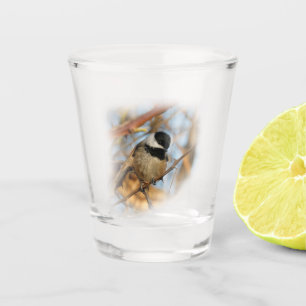 Niedlicher hoffnungsvoller Schwarzkicherling-Songb Schnapsglas