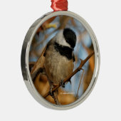 Niedlicher hoffnungsvoller Schwarzkicherling-Songb Silbernes Ornament (Rechts)