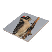 Niedlicher Holzspecht auf Obstbaum Fliese (Seite)