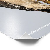 Niedlicher Holzspecht auf Obstbaum Fotodruck (Ecke)