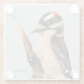 Niedlicher Holzspecht auf Obstbaum Glasuntersetzer (Rückseite)