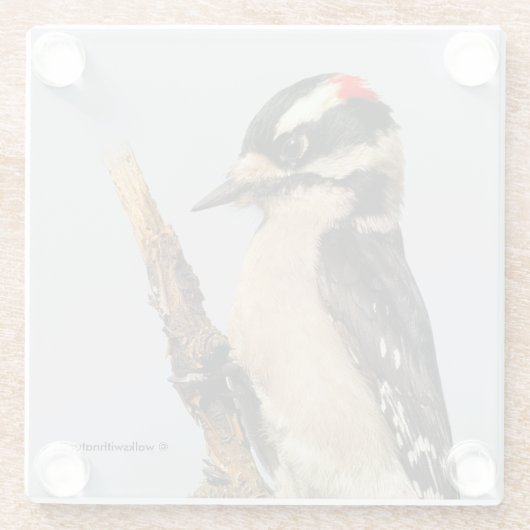 Niedlicher Holzspecht auf Obstbaum Glasuntersetzer (Rückseite)