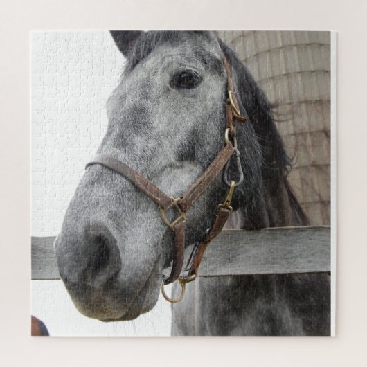 niedlicher hORSE nah Puzzle (Vertikal)