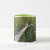 Niedlicher Hummingbird im Forelle Tasse Cup (Zentrum)