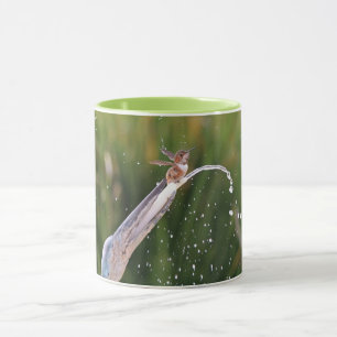 Niedlicher Hummingbird im Forelle Tasse Cup
