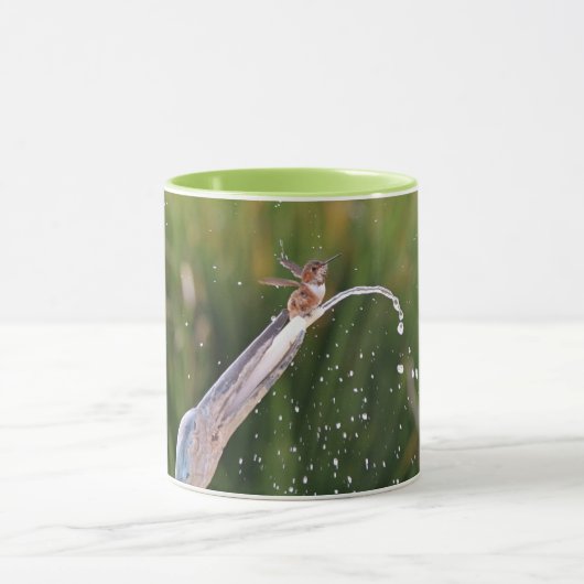 Niedlicher Hummingbird im Forelle Tasse Cup (Zentrum)
