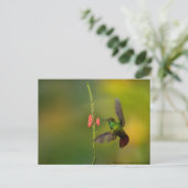 Niedlicher Hummingvogel und Blume, wild lebende Ti Postkarte (Stehend Vorderseite)