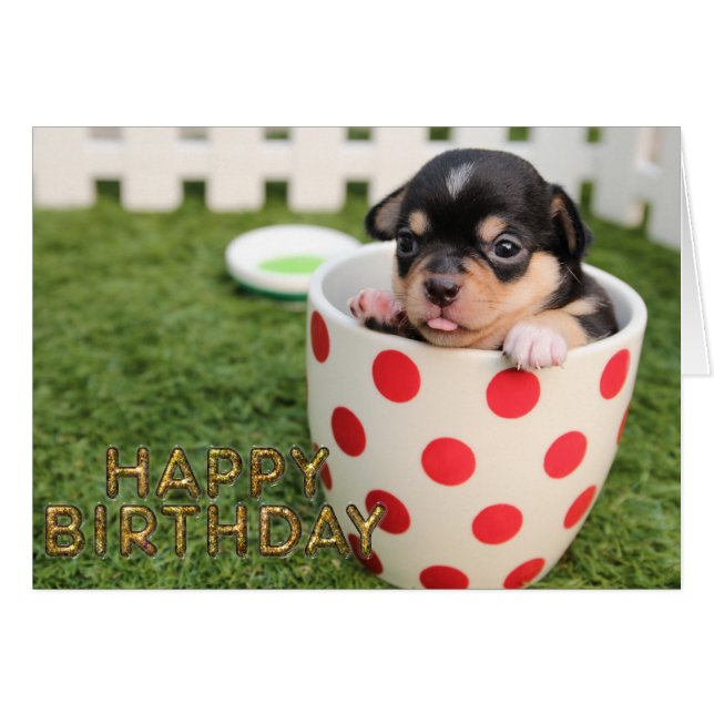 Niedlicher Hund (Vorderseite (Horizontal))