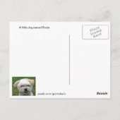 Niedlicher Hund 3 Bild Postkarte (Rückseite)