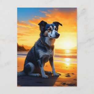 Niedlicher Hund am Strand bei Sunset SPRICHWORT Postkarte