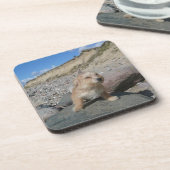 Niedlicher Hund am Strand Untersetzer (Linke Seite)