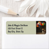 Niedlicher Hund auf Balloons Spaß Tierfütterung (Insitu)