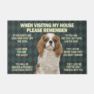 Niedlicher Hund bei einem Besuch in meinem Haus bi Fußmatte
