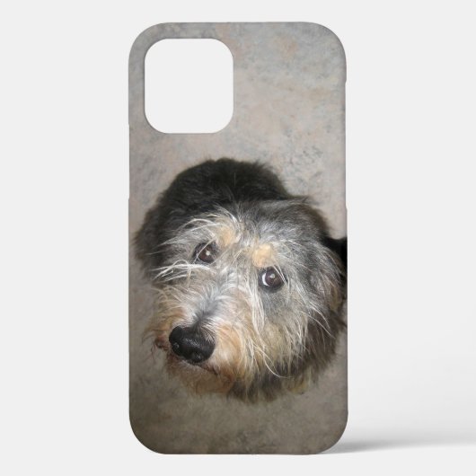 Niedlicher Hund Case-Mate iPhone-Fall iPhone Hülle (Rückseite)