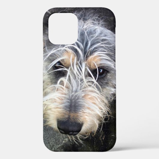 Niedlicher Hund Case-Mate iPhone-Fall iPhone Hülle (Rückseite)